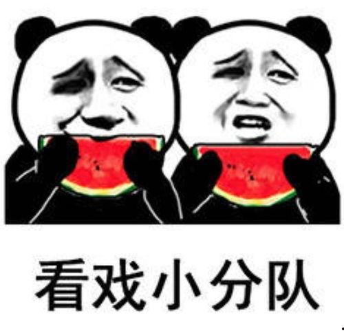 吃瓜表情的意思,揭秘网络时代的社交密码